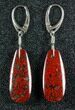 Ruby Red, Agatized Dinosaur Bone (Gembone) Earrings #84745-1